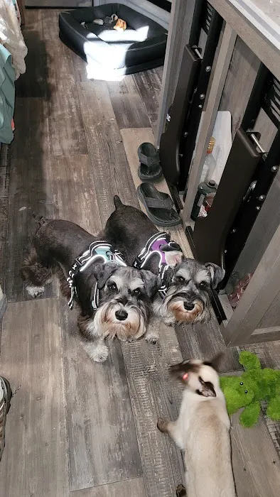 Family Pet Clinic Picture 7