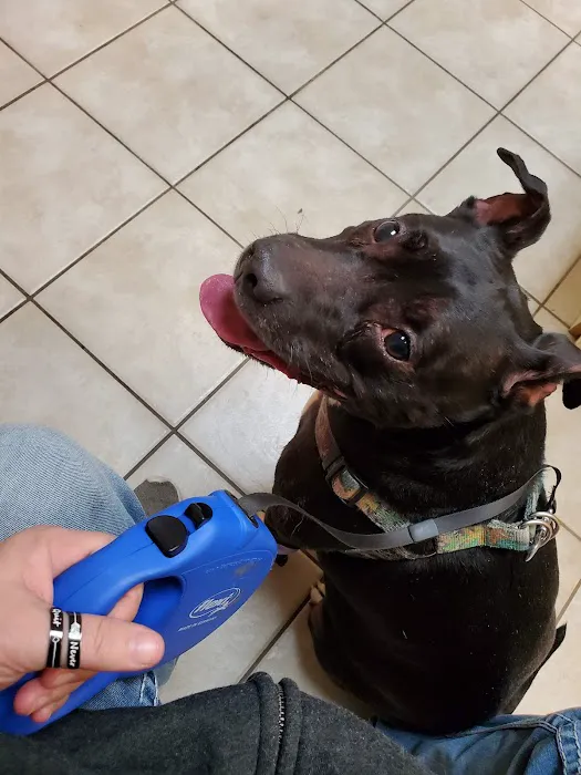 York Animal Clinic Picture 3