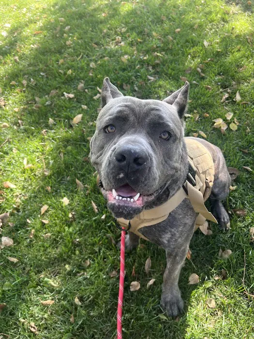 Sullivan Companion Animal Clinic Picture 1