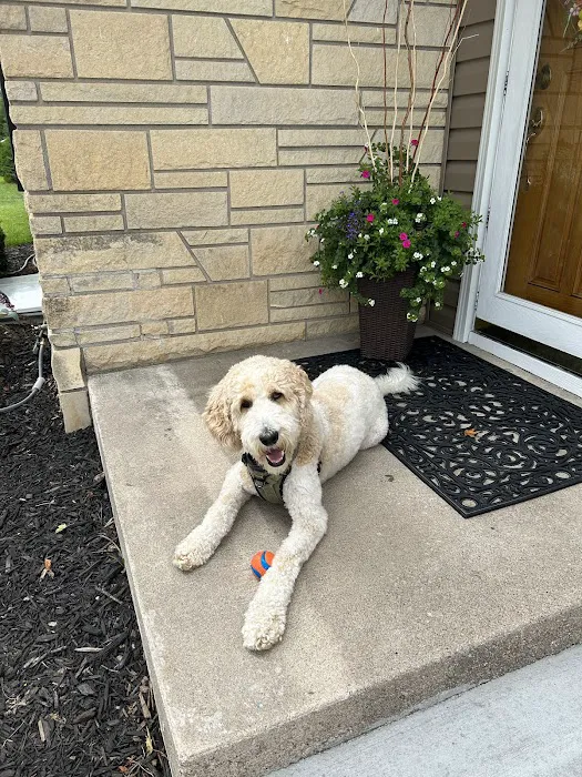 Sullivan Companion Animal Clinic Picture 9