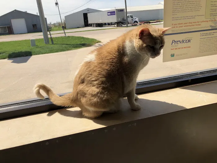 Sullivan Companion Animal Clinic Picture 7