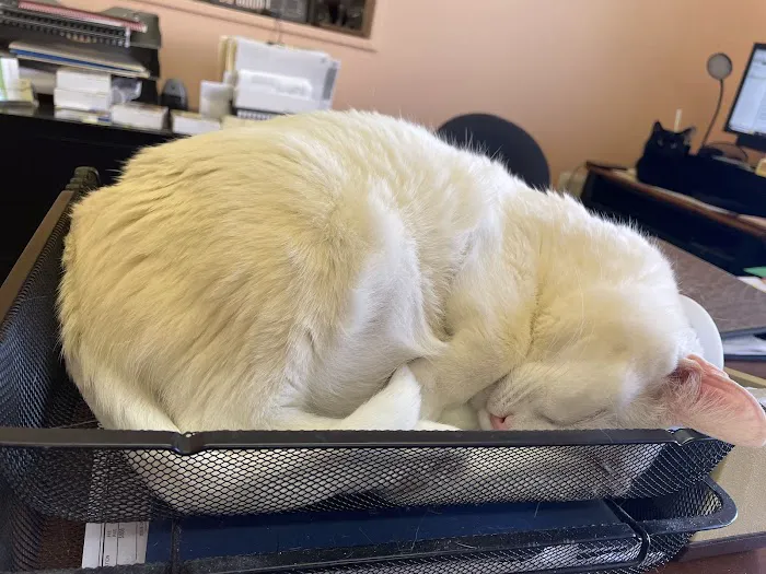 Sullivan Companion Animal Clinic Picture 8