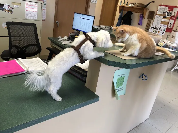 Sullivan Companion Animal Clinic Picture 5