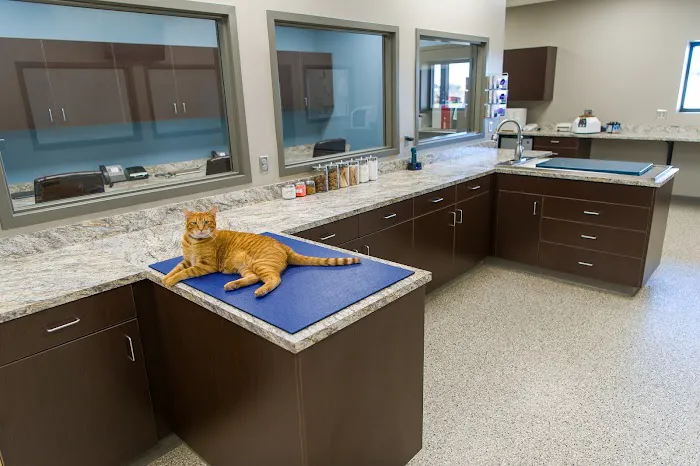 TimberCreek Veterinary Hospital Picture 1