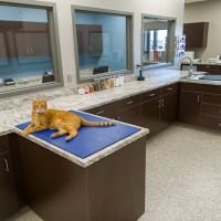 TimberCreek Veterinary Hospital ico