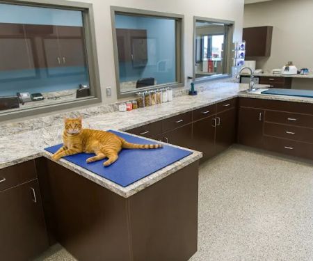 TimberCreek Veterinary Hospital
