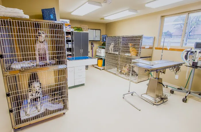 TimberCreek Veterinary Hospital Picture 2