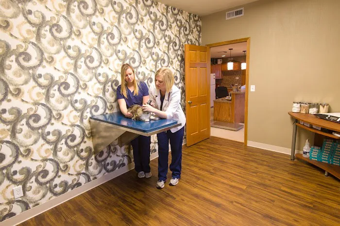 TimberCreek Veterinary Hospital Picture 4