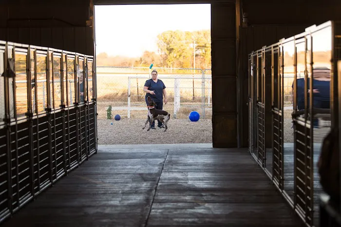 TimberCreek Veterinary Hospital Picture 5