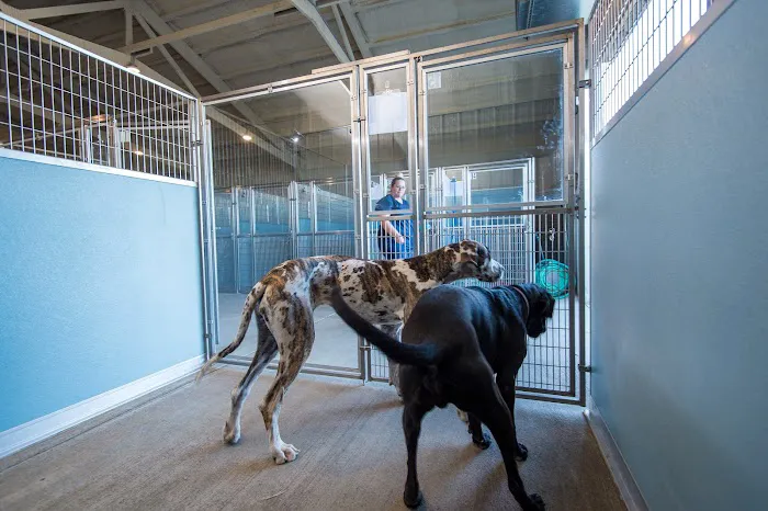 TimberCreek Veterinary Hospital Picture 7