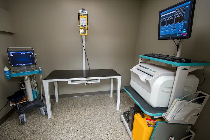 TimberCreek Veterinary Hospital Picture 9