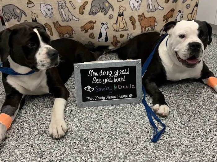Fur Family Animal Hospital Picture 2