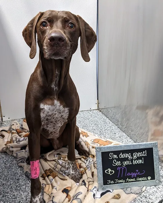 Fur Family Animal Hospital Picture 1