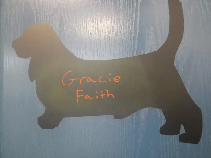 Fur Family Animal Hospital Picture 3