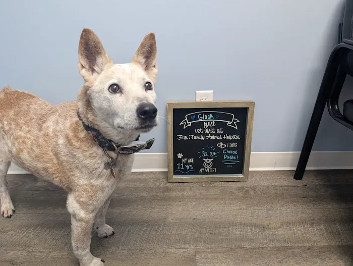 Fur Family Animal Hospital Picture 7