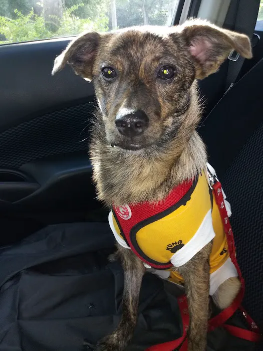 Fur Family Animal Hospital Picture 5