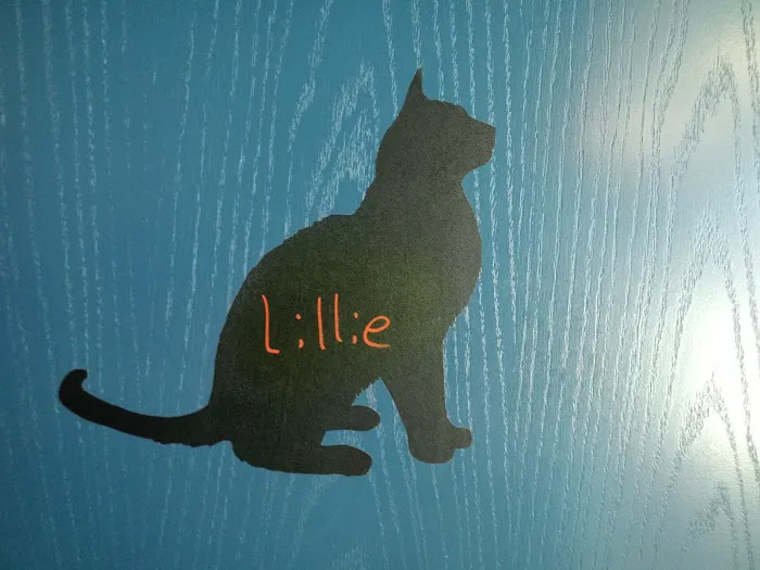 Fur Family Animal Hospital Picture 4