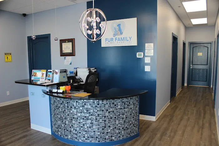 Fur Family Animal Hospital Picture 9