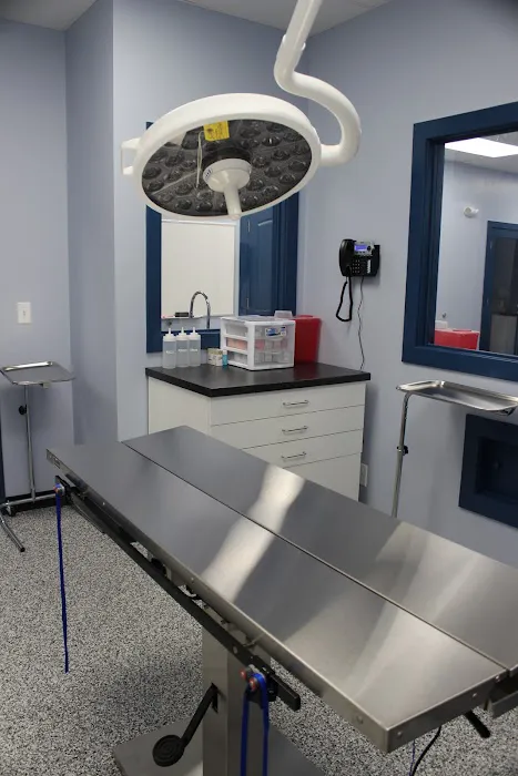 Fur Family Animal Hospital Picture 10