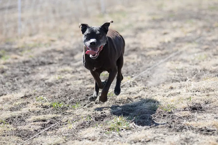 Vetco Total Care Animal Hospital Picture 1
