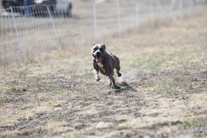 Vetco Total Care Animal Hospital Picture 2