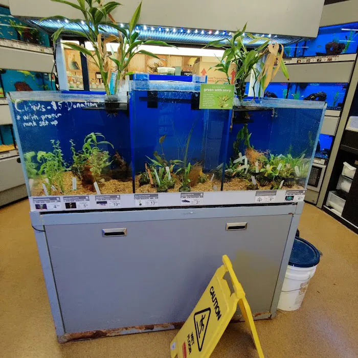 Vetco Total Care Animal Hospital Picture 6