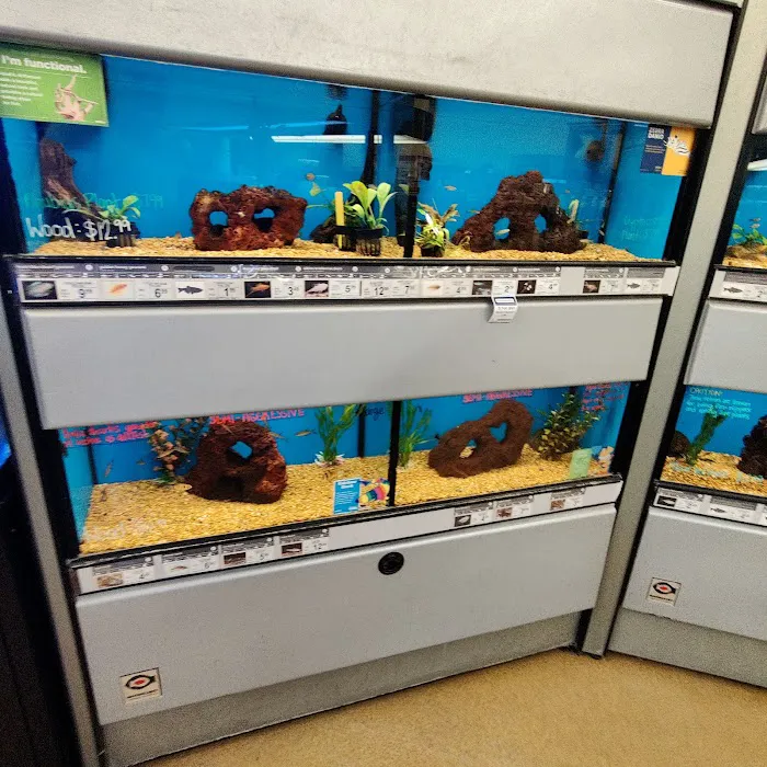 Vetco Total Care Animal Hospital Picture 4