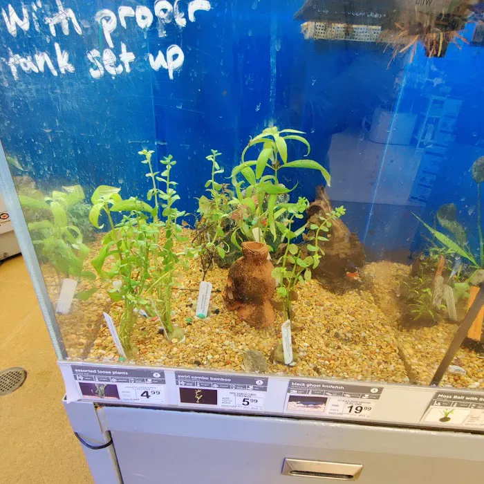 Vetco Total Care Animal Hospital Picture 7