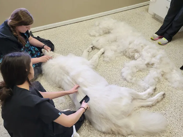 Wildcat Vet Services Picture 1