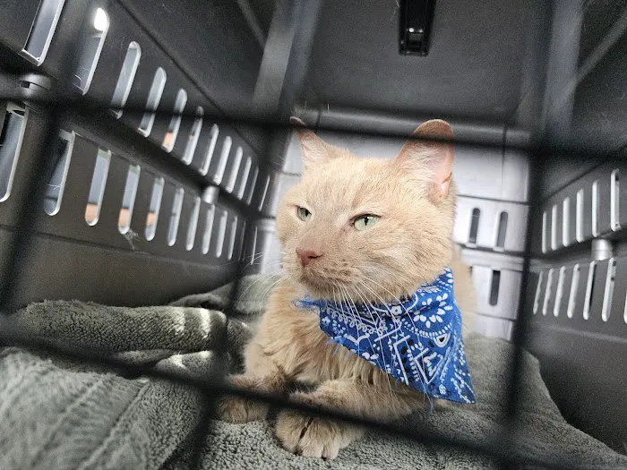 Wildcat Vet Services Picture 5