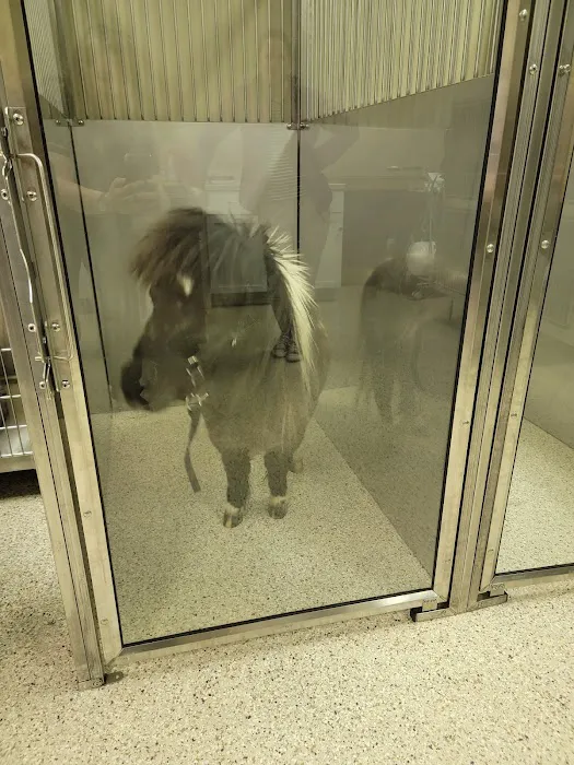 Wildcat Vet Services Picture 8