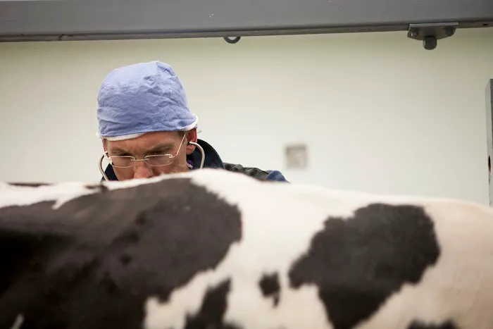 Veterinary Health Center at Kansas State University Picture 9