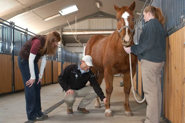 Veterinary Health Center at Kansas State University Picture 10