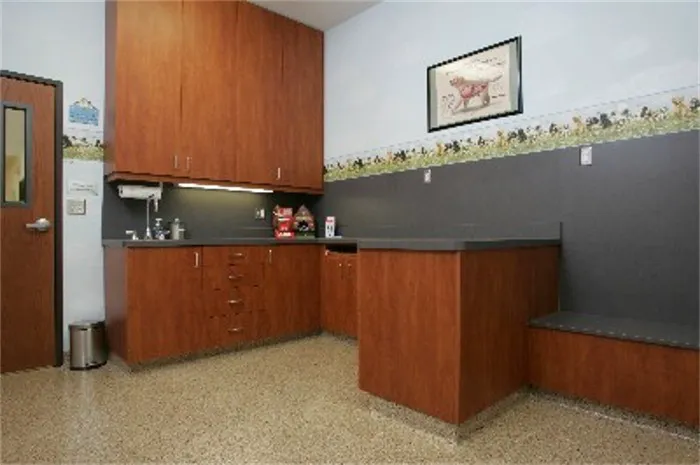 Little Apple Veterinary Hospital Picture 7