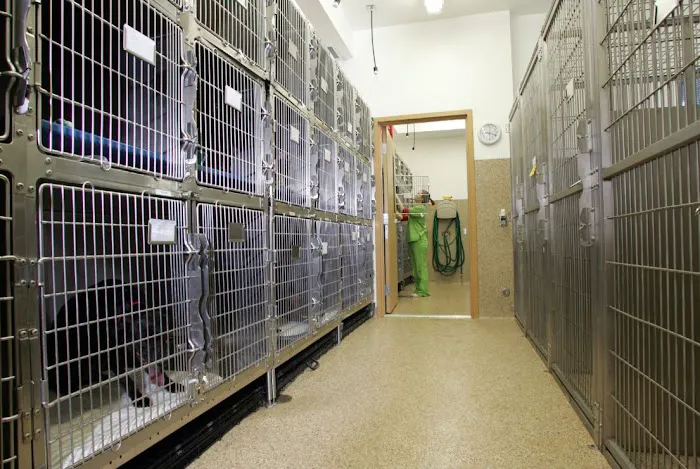 Little Apple Veterinary Hospital Picture 4