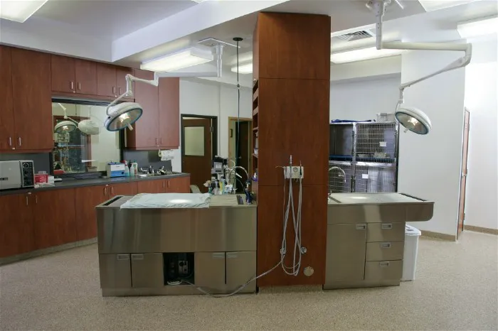 Little Apple Veterinary Hospital Picture 5