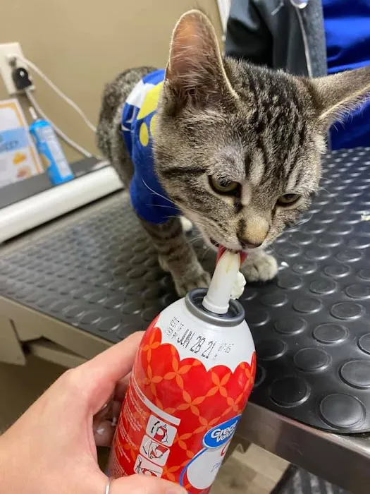 Animal Doctor Westside Picture 3