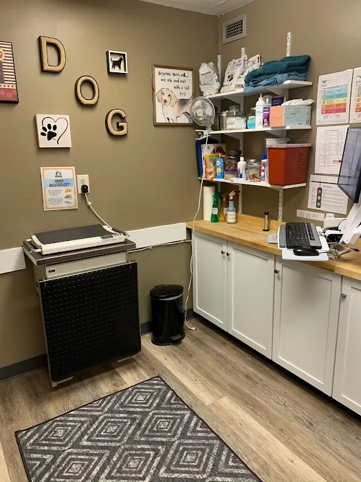 Animal Doctor Westside Picture 8