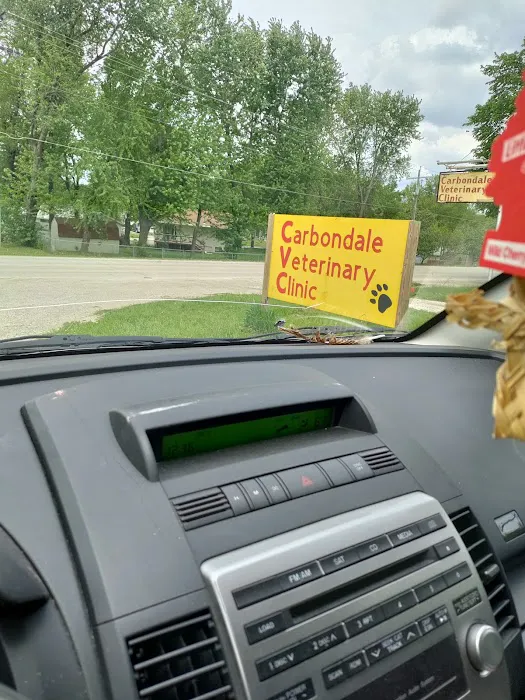 Carbondale Pet Clinic Picture 3