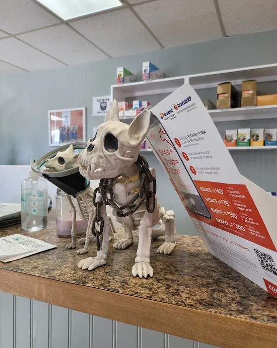 Animal Clinic Picture 3