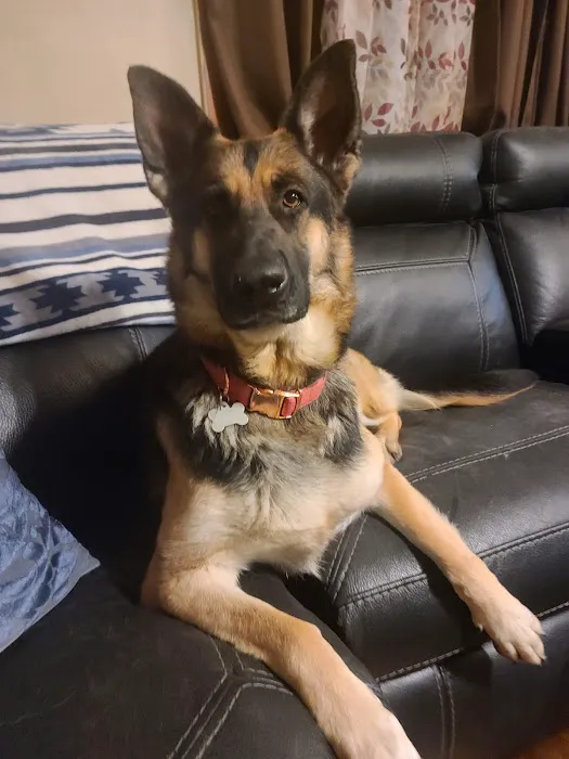 Animal Clinic Picture 1