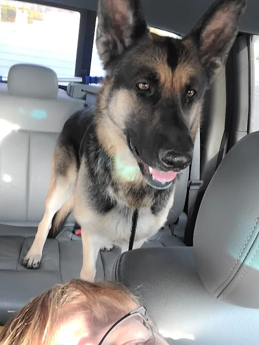 Animal Clinic Picture 2