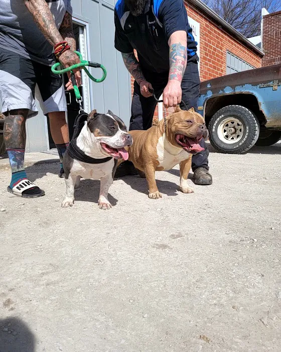 Animal Clinic Picture 4