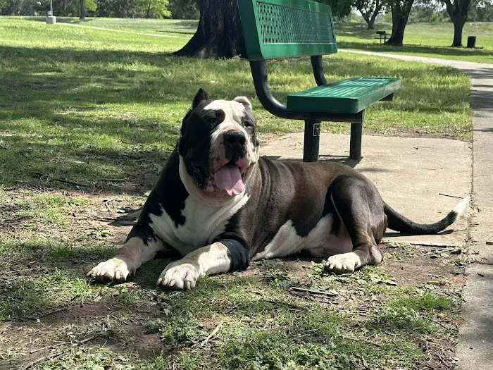 Animal Clinic Picture 5