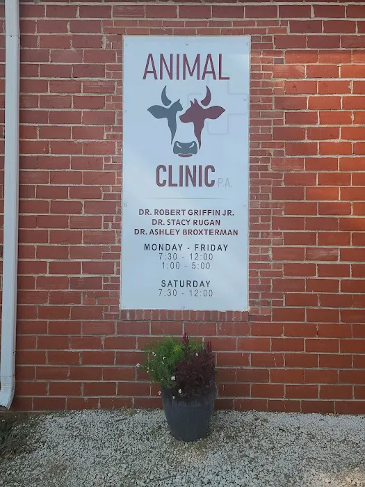 Animal Clinic Picture 7