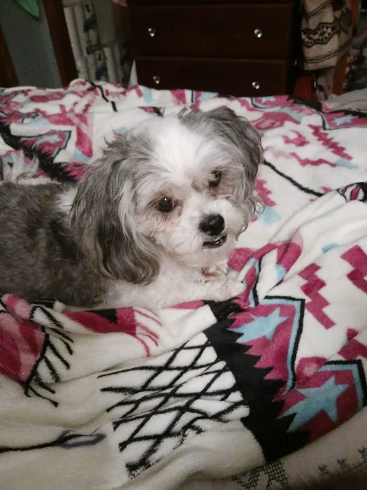 Lyndon Veterinary Clinic Picture 1