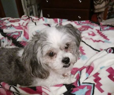 Lyndon Veterinary Clinic