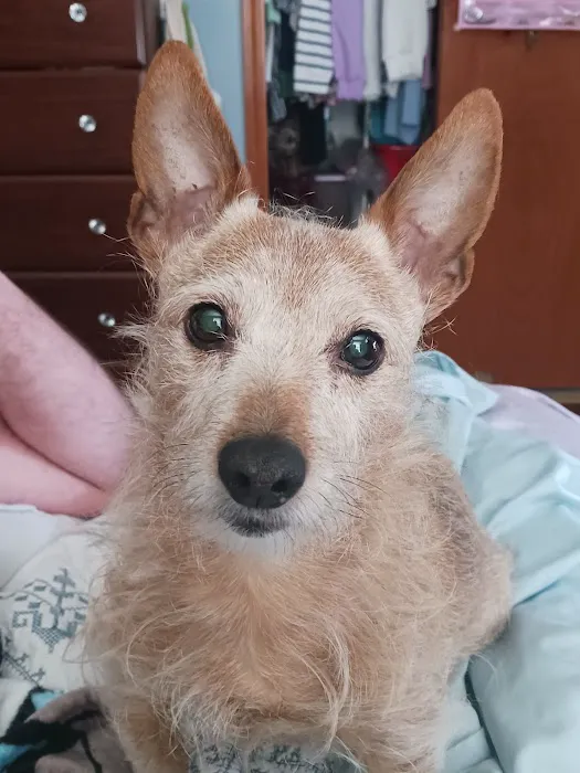 Lyndon Veterinary Clinic Picture 2