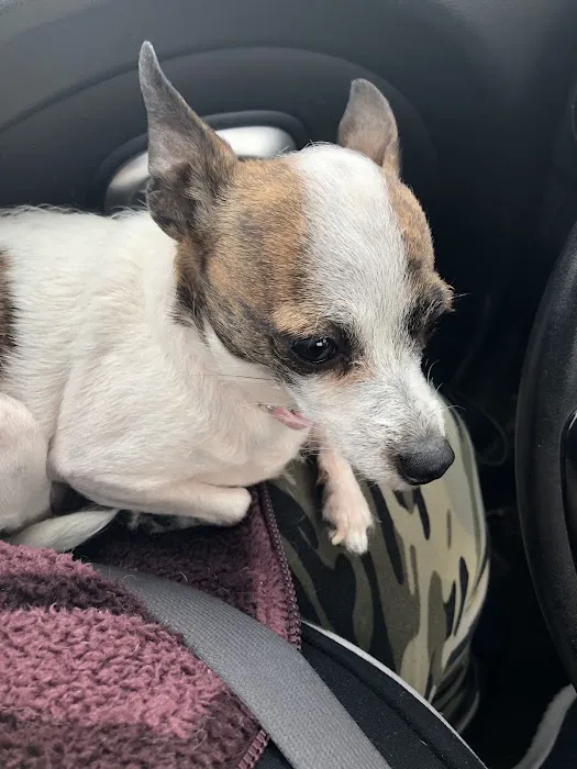 Lyndon Veterinary Clinic Picture 4