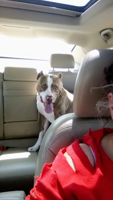 Lyndon Veterinary Clinic Picture 3